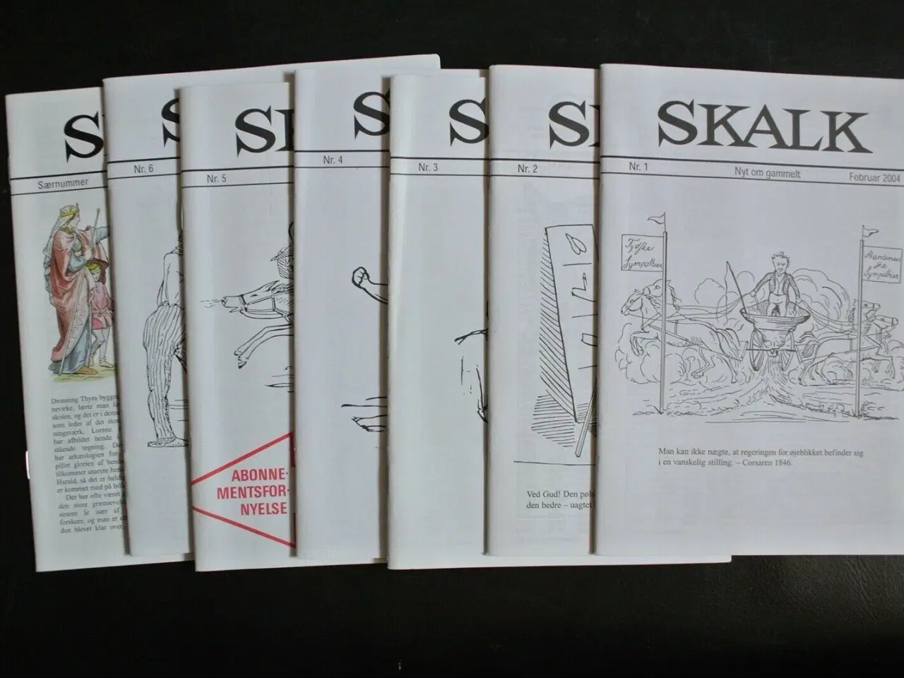 Billede 1 - skalk nr. 1-6 + særnummer 2004, emne: historie og 