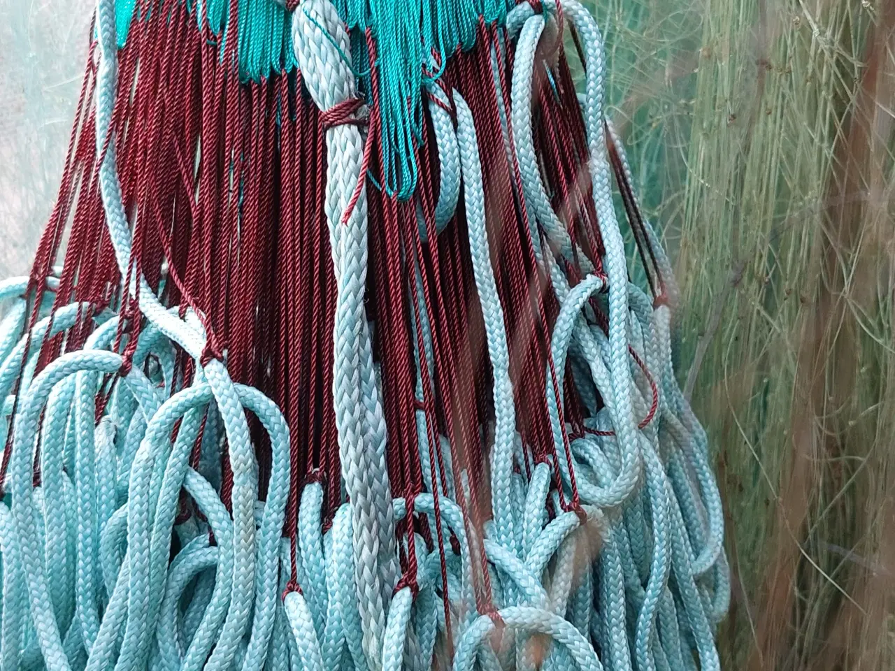 Billede 7 - Rødspætte / Skrubbegarn