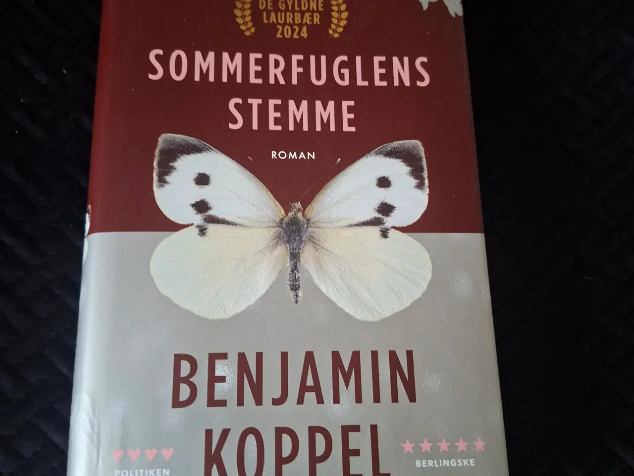 Billede 1 - Bog Sommerfuglens stemme 