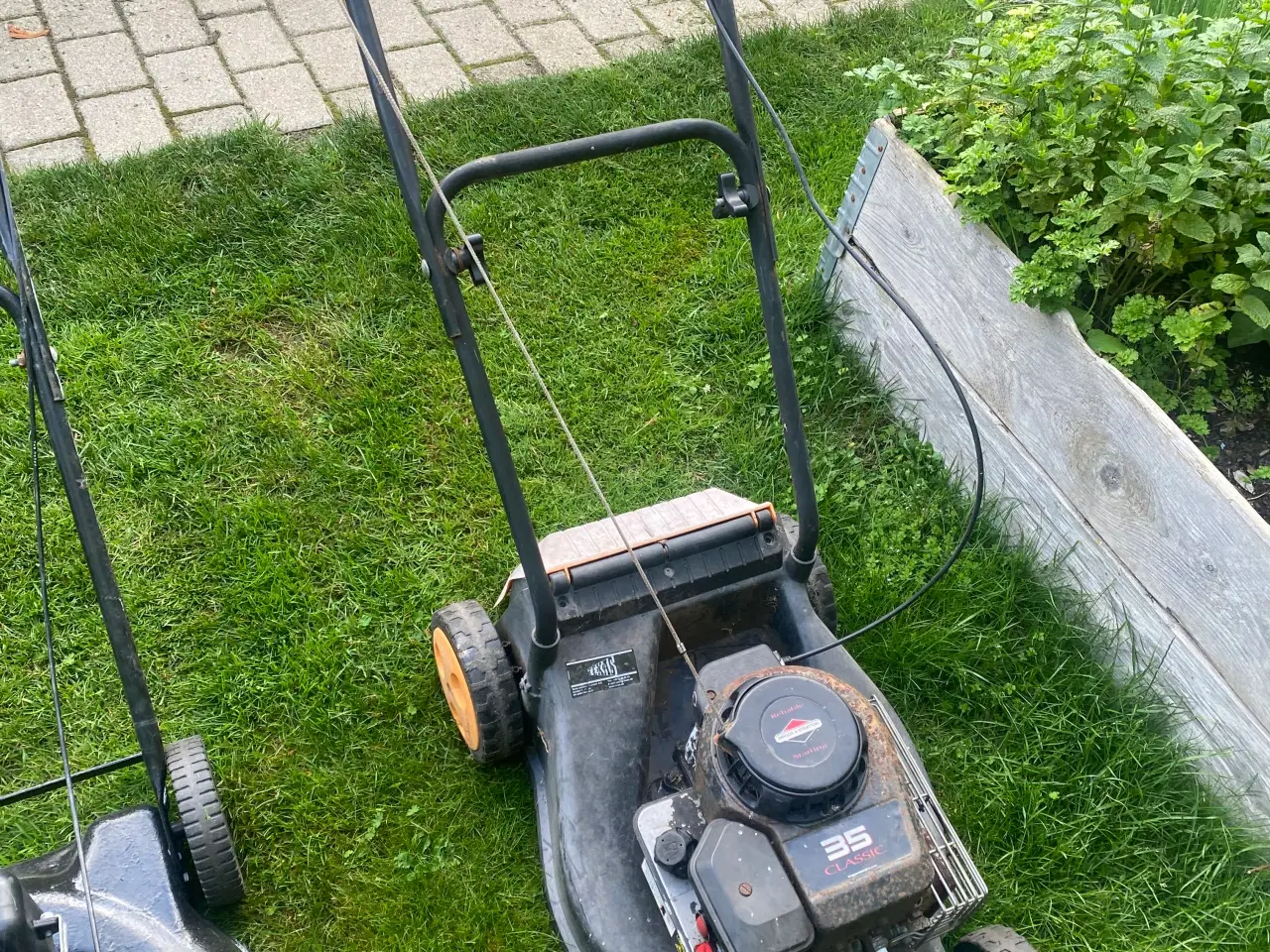 Billede 9 - Rotor plæneklipper 