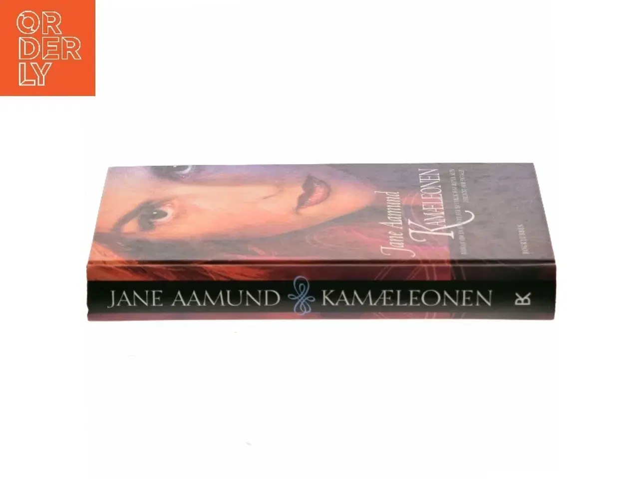 Billede 2 - Kamæleonen af Jane Aamund (Bog)