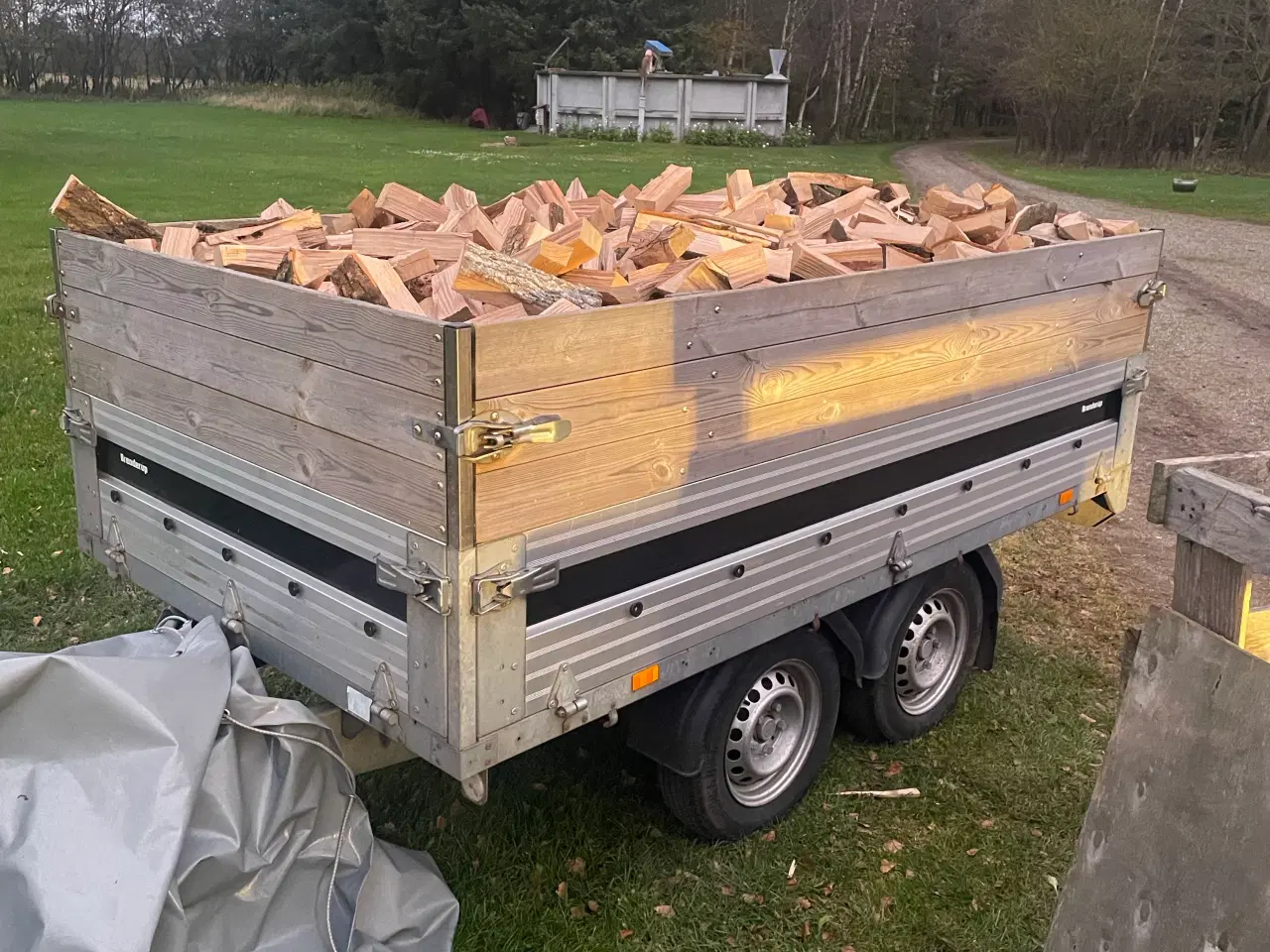 Billede 3 - Askebrænde