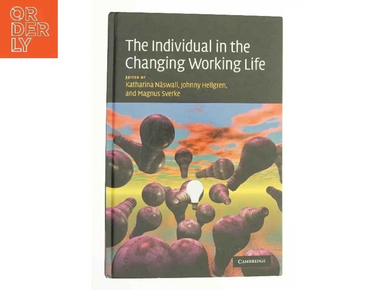 Billede 1 - The individual in the changing working life (Bog)