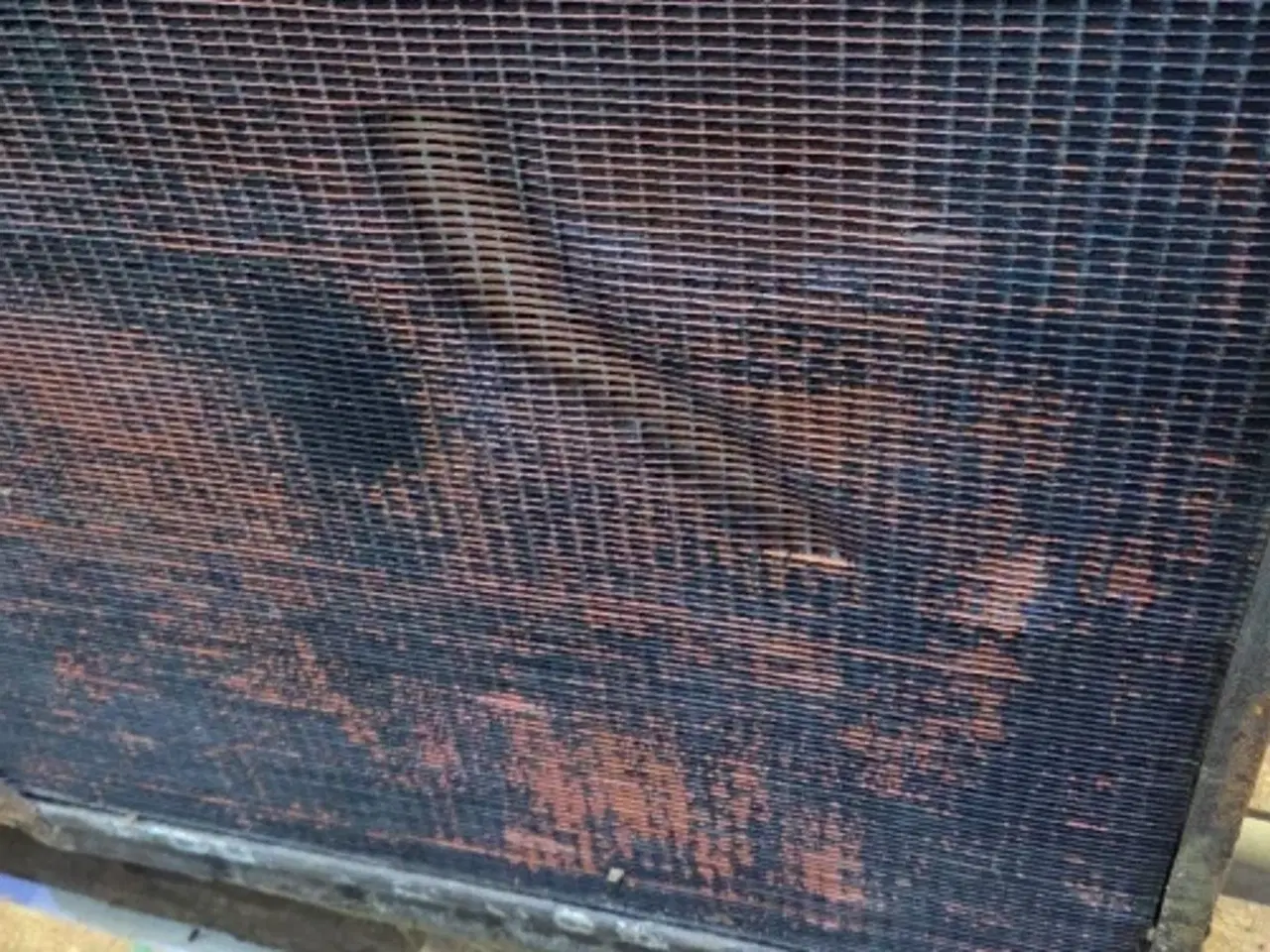 Billede 12 - New Holland 1550 Køler 80355101