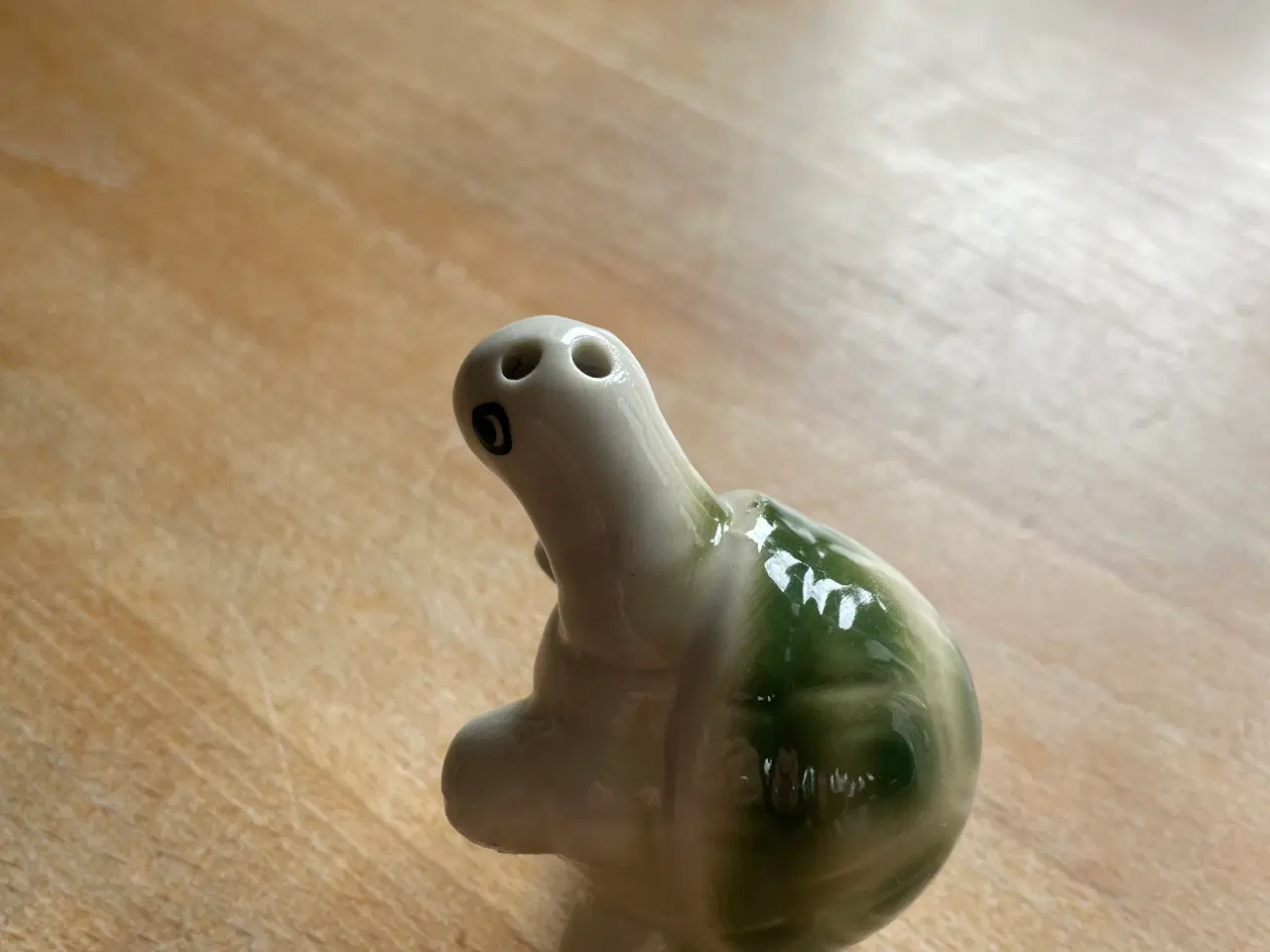 Billede 1 - Saltbøsse skildpadde