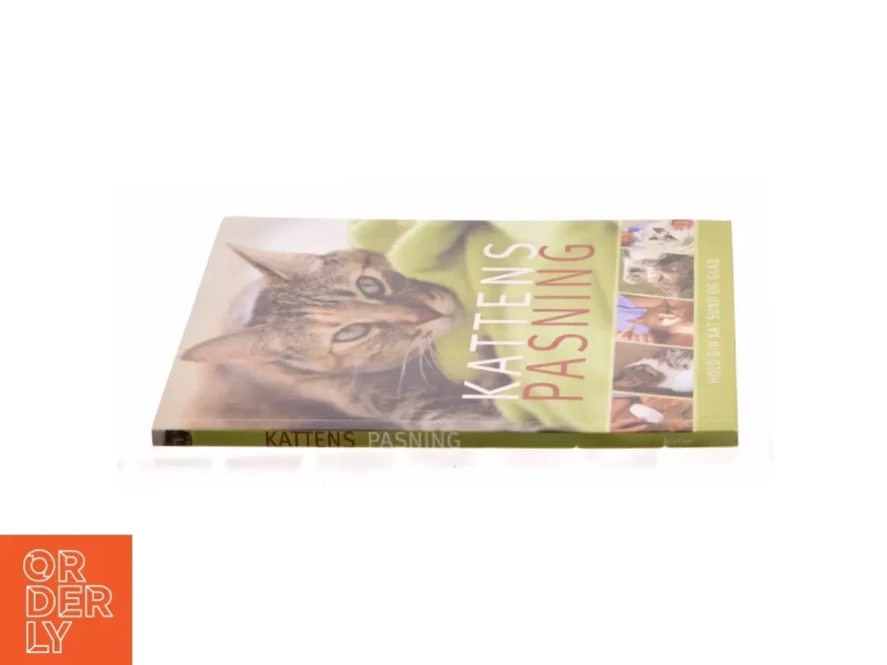 Billede 3 - Kattens pasning - Hold din kat sund og glad