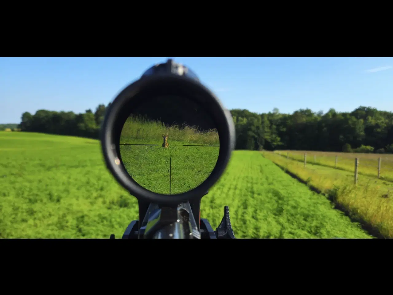 Billede 10 - Schultz og Larsen classic dl 308 Win