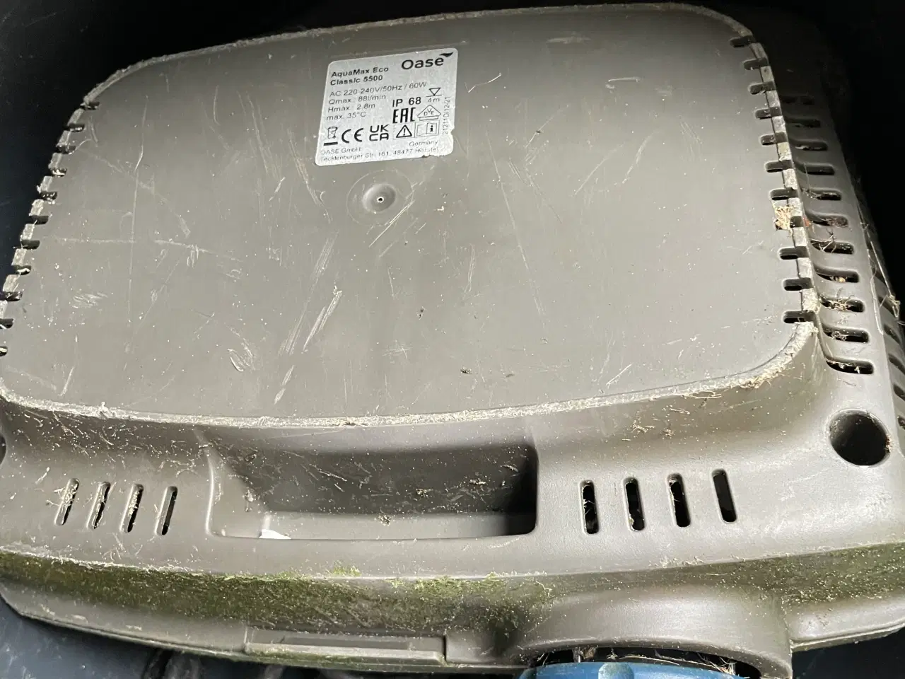 Billede 2 - Koi karper og guldfisk