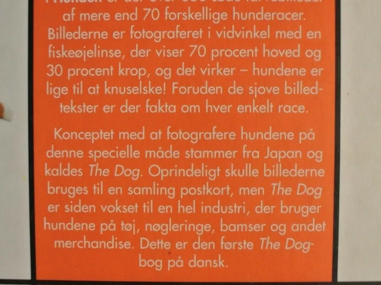 Billede 2 - hunden - artist collection, oversat af dorte ander