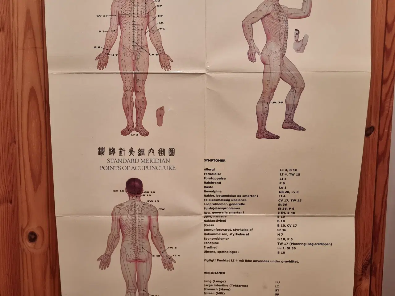 Billede 3 - Plakat med akupunkturpunkter incl. tryk-pen