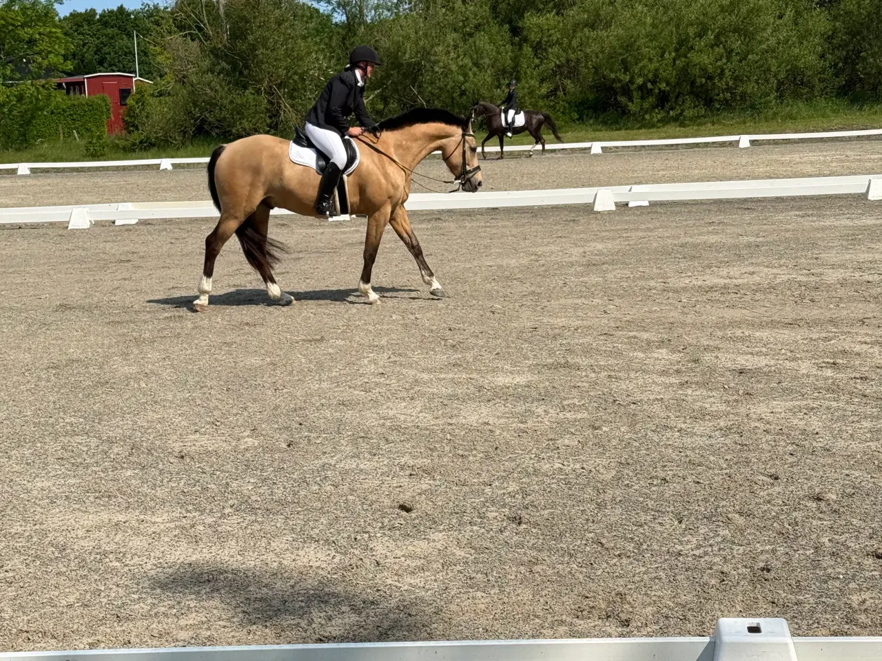 Billede 14 - Dine nye bedste ven