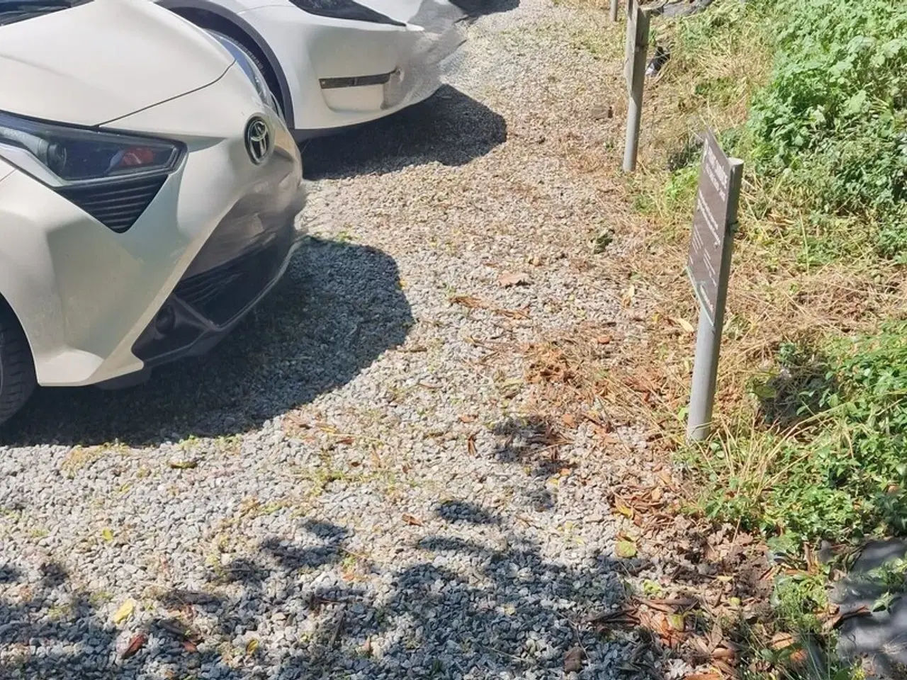 Billede 1 - P pladser udlejes