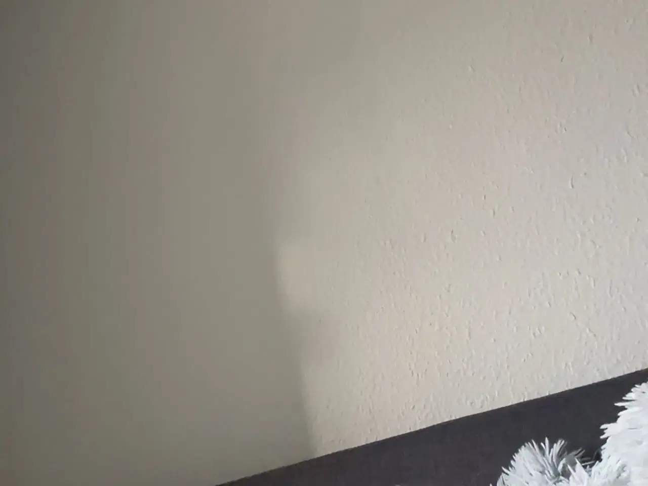 Billede 2 - Verdens sødeste kanin sælges