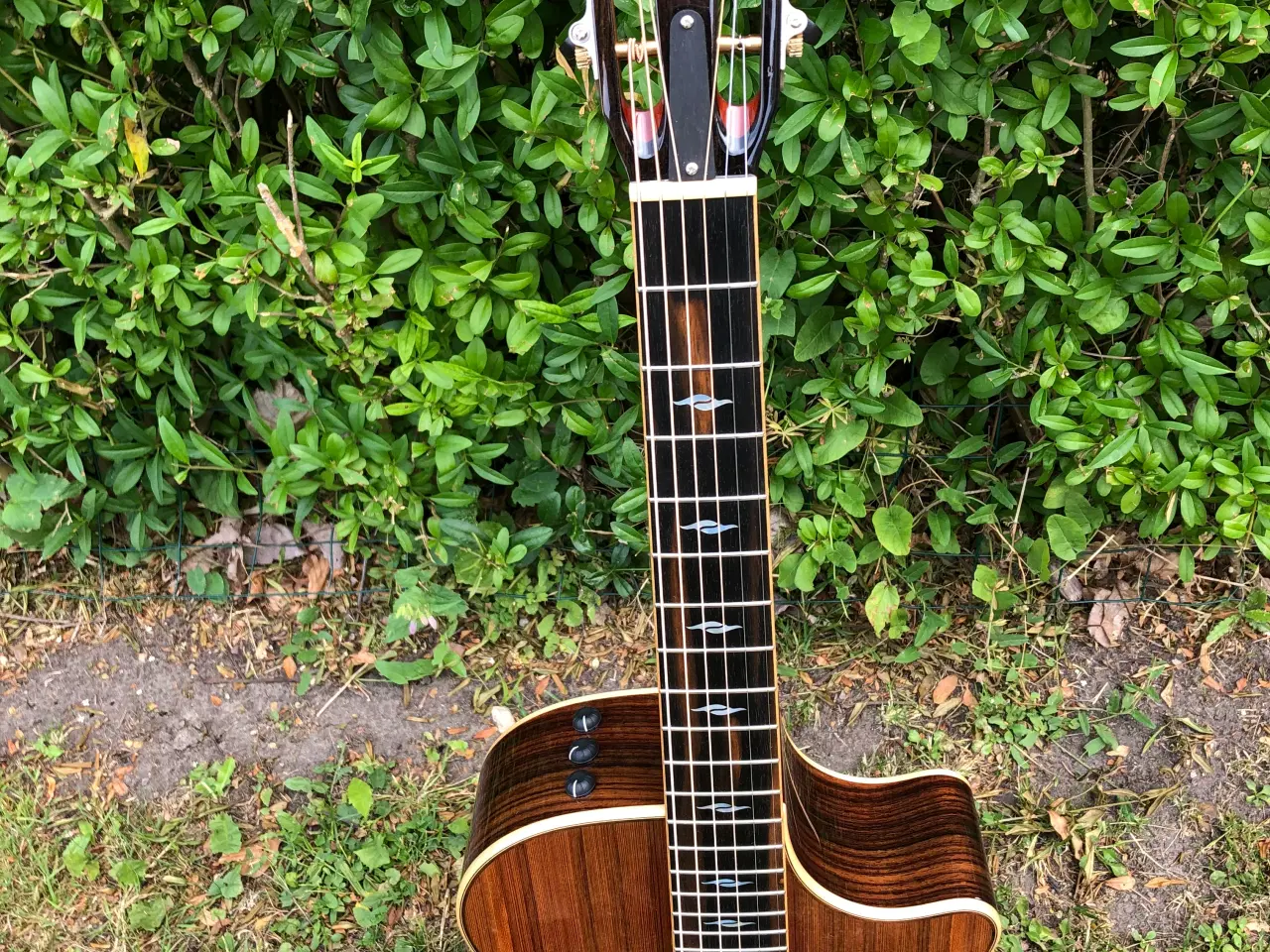 Billede 11 - Taylor 812ce 12-Fret Limited Edition NAMM 