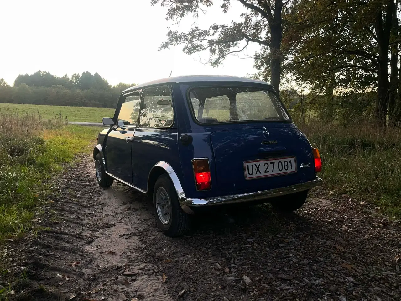 Billede 9 - Velkørende Morris, med langtid til syn.