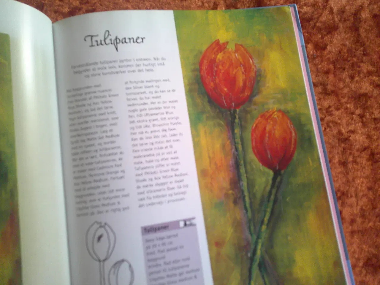 Billede 2 - Mal små billeder i akryl og akvarel