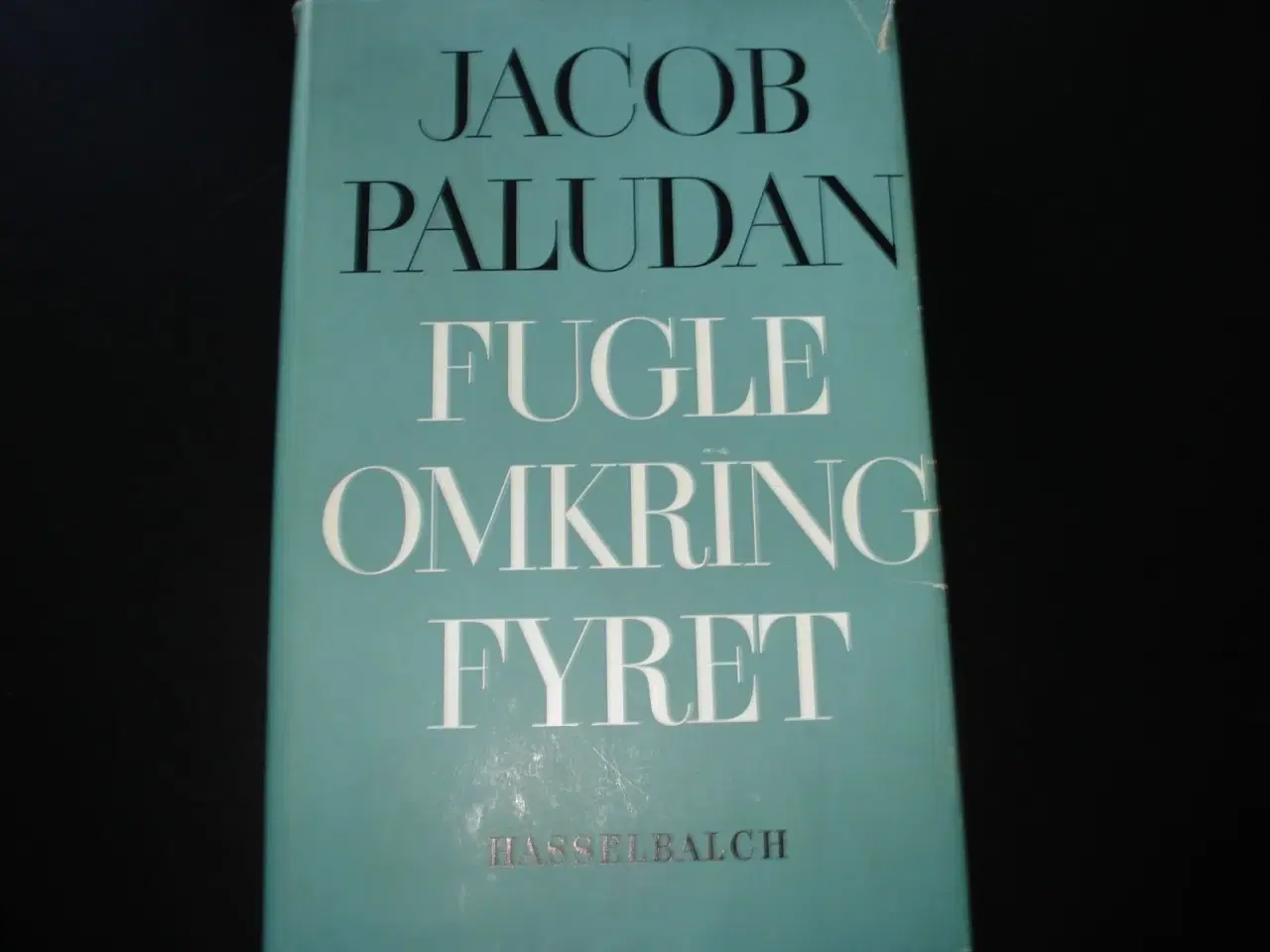 Billede 1 - Fugle omkring fyret