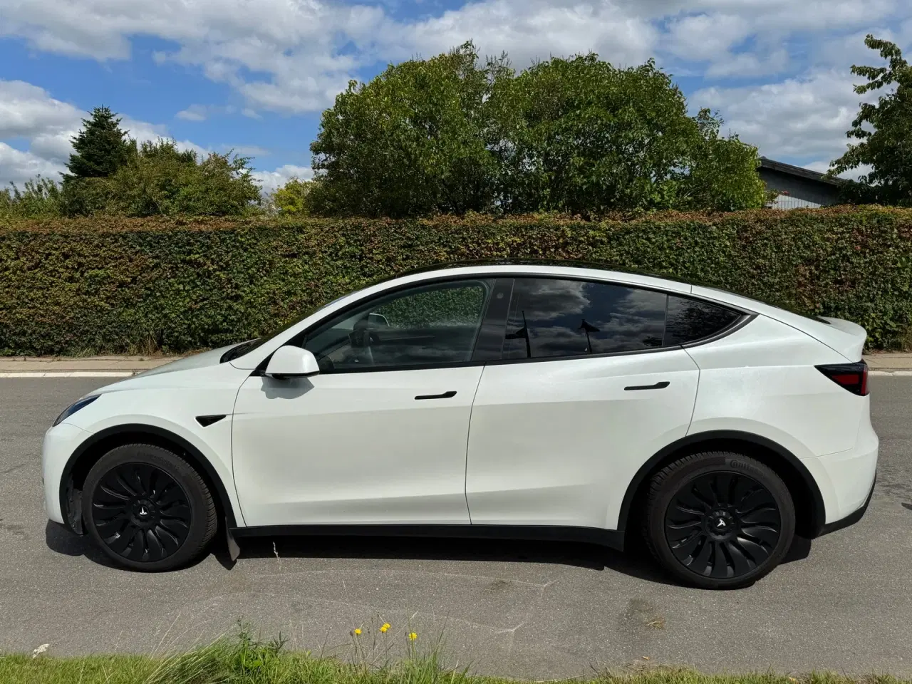 Billede 3 - Tesla Model Y  RWD