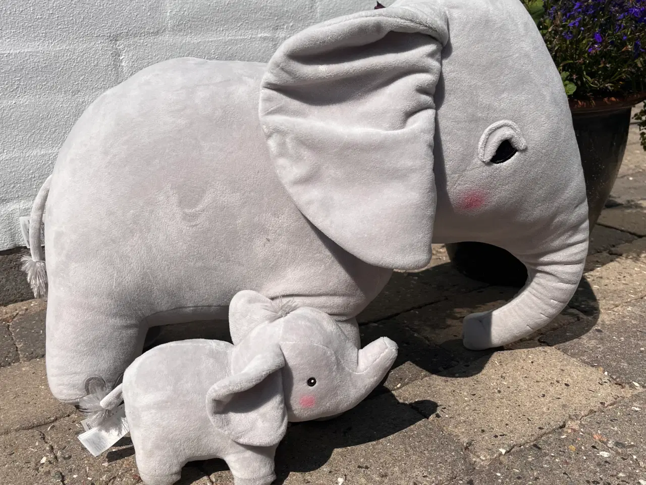 Billede 1 - mor elefant med sin unge