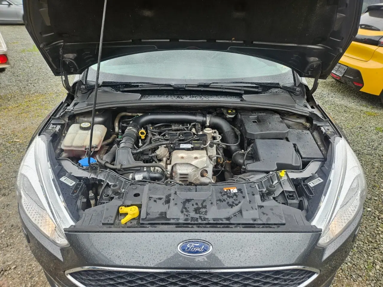 Billede 1 - Ford Focus 1,0 SCTi 125 Business stc.