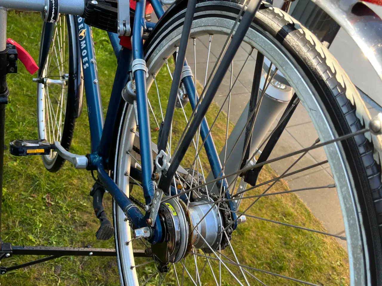Billede 4 - Kildemoes i blå cykel 