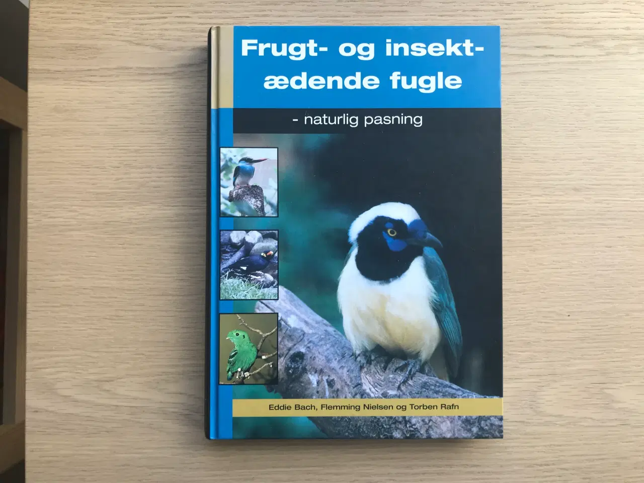 Billede 1 - Frugt- og insektædende fugle - naturlig pasning