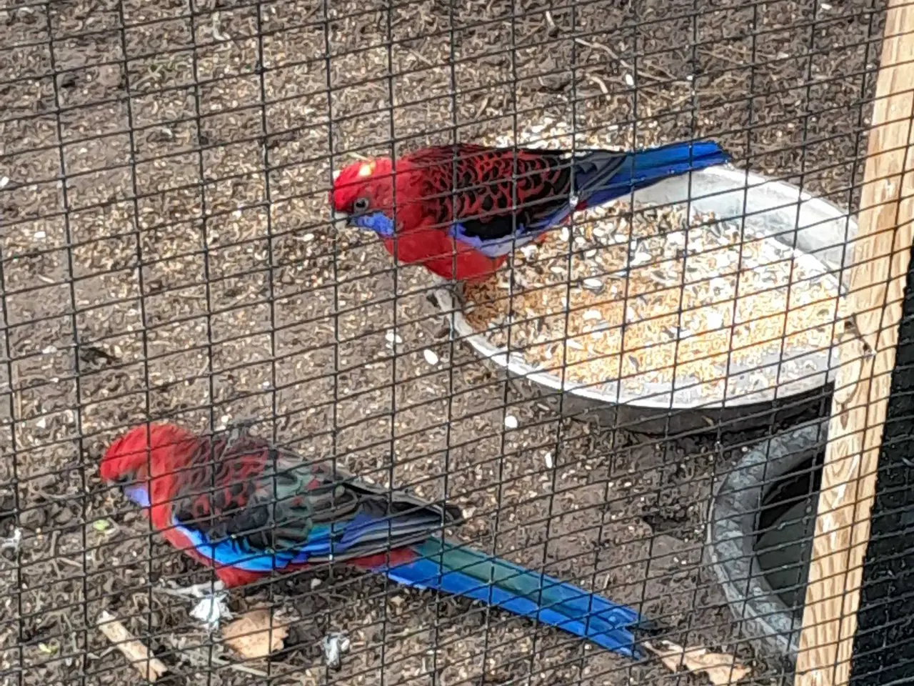 Billede 2 - Smukke penanter