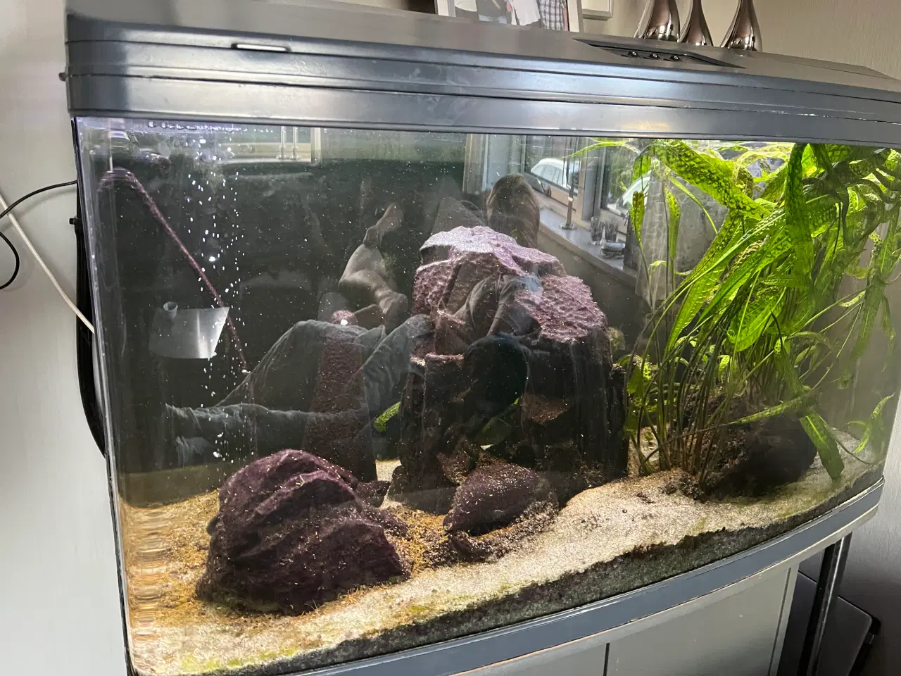 Billede 2 - Akvarie 280 ltr