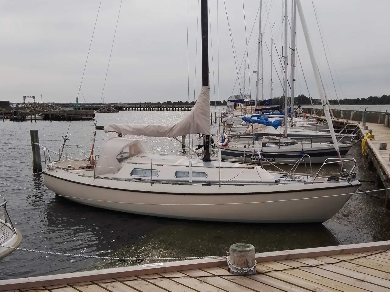 Billede 5 - Nimbus 30 sejlbåd 
