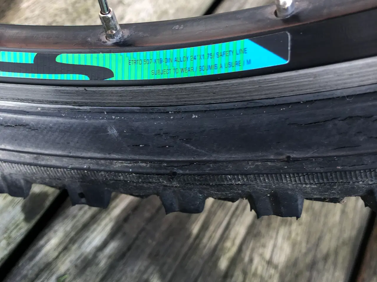 Billede 5 - Kildemoes Intruder 