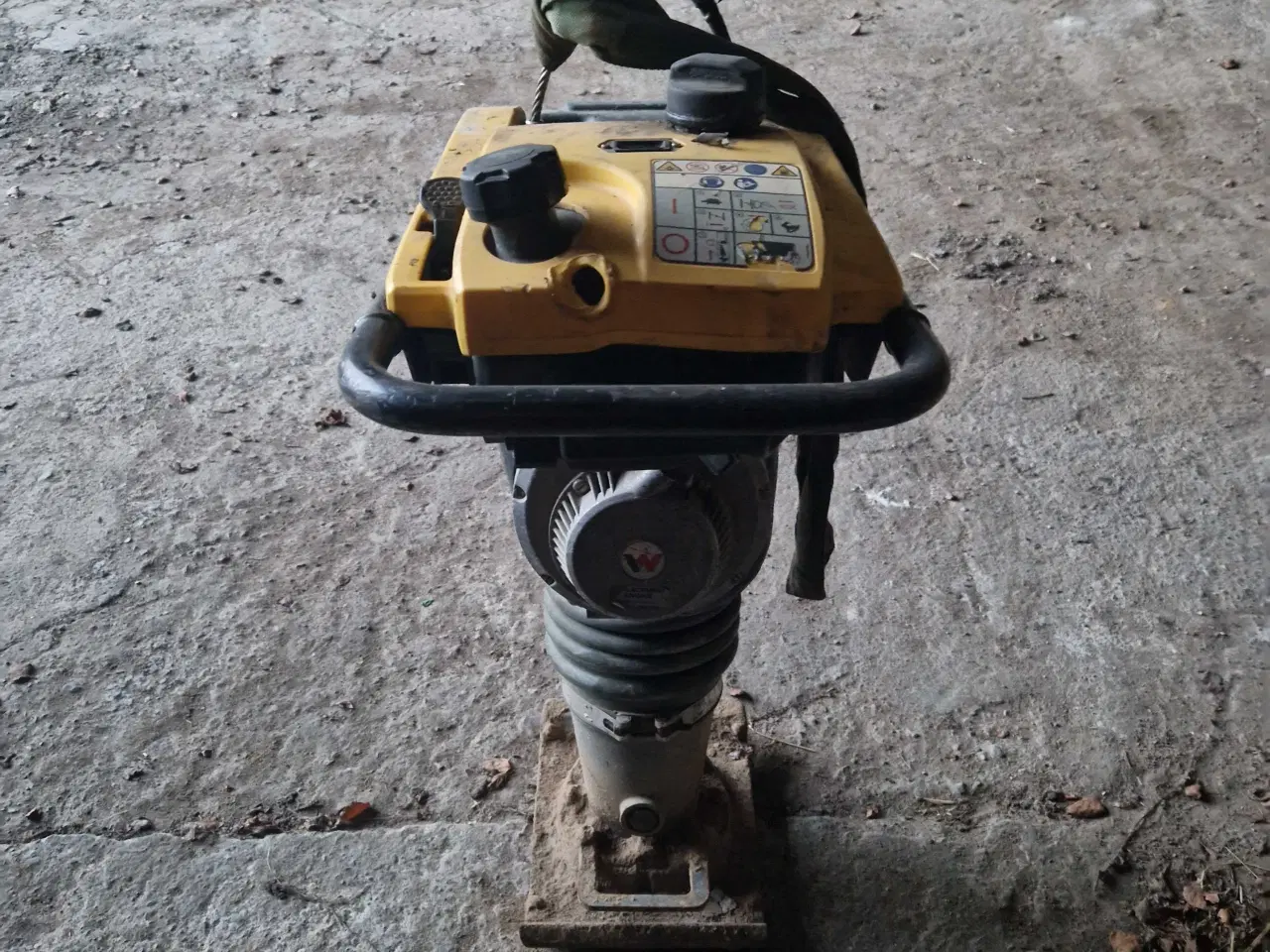 Billede 3 - Jordloppe 