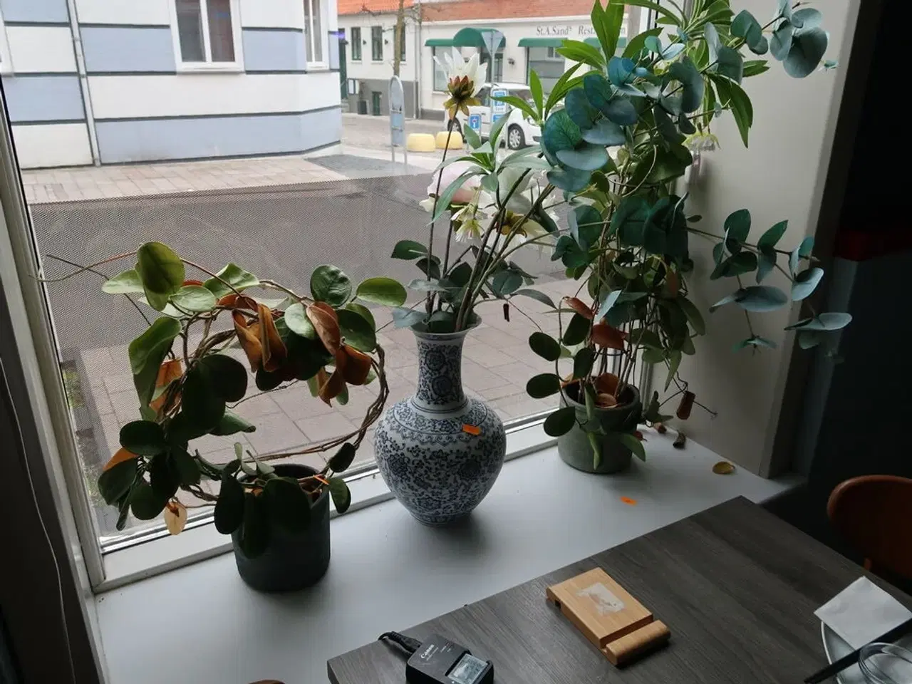 Billede 1 - Div. Vaser og planter