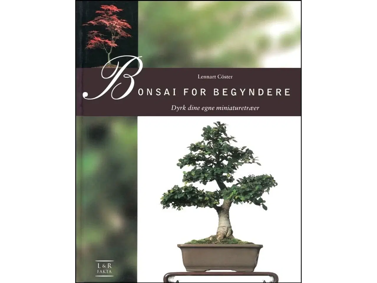 Billede 1 - Bonsai for begyndere