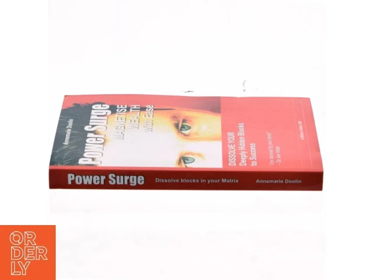 Billede 2 - Power surge : how to magnetise wealth with ease af Annemarie Doolin (Bog)