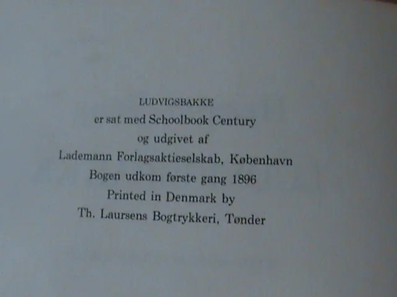Billede 5 - Bog: Herman Bang: Ludvigsbakke