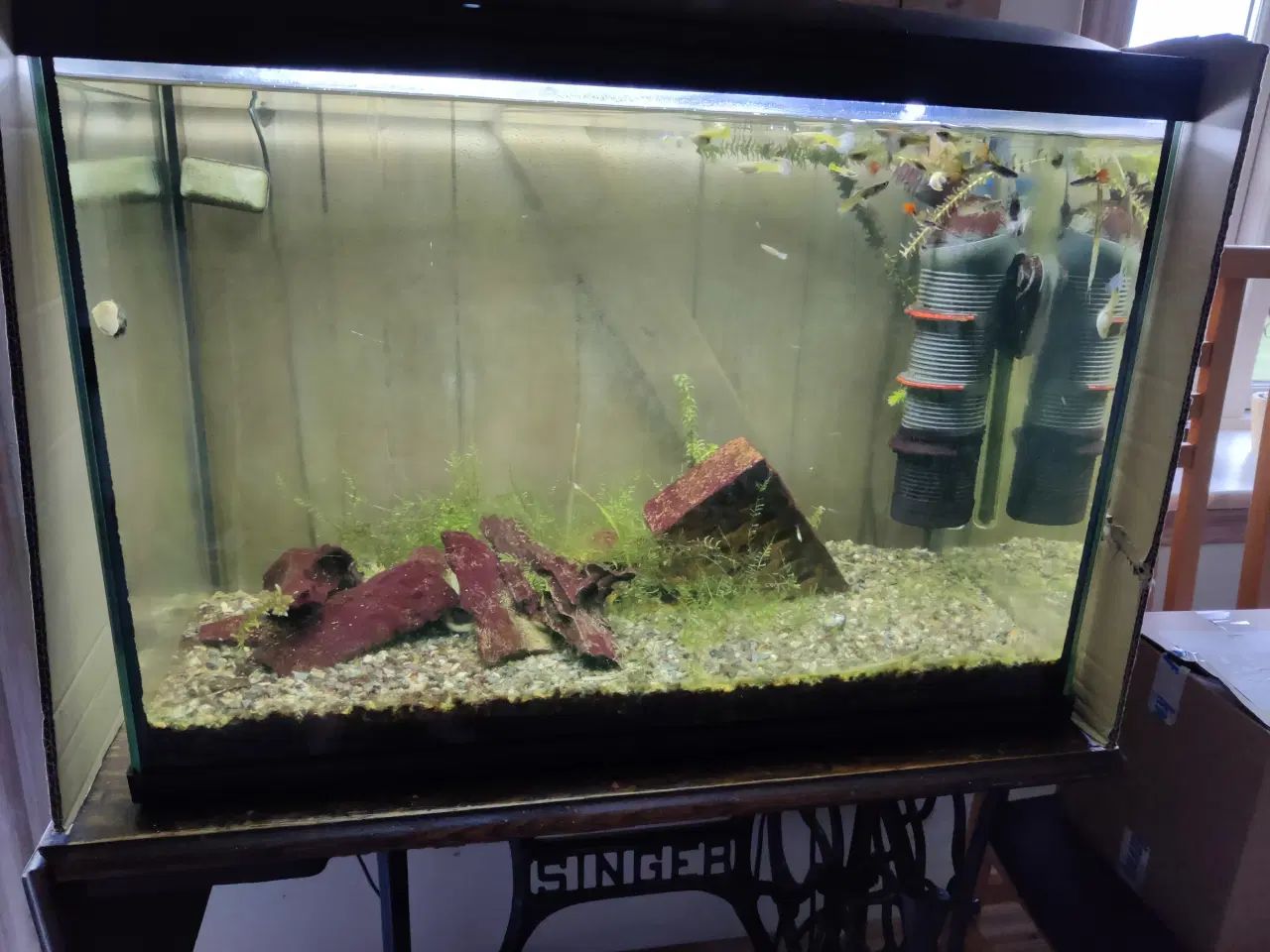 Billede 1 - Akvarie, Super Fish, 90 liter