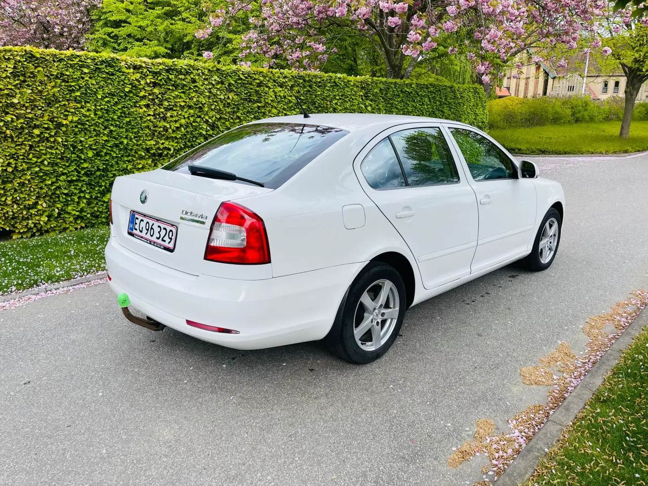Billede 3 - Nysynet Skoda Octavia 1.6 tdi