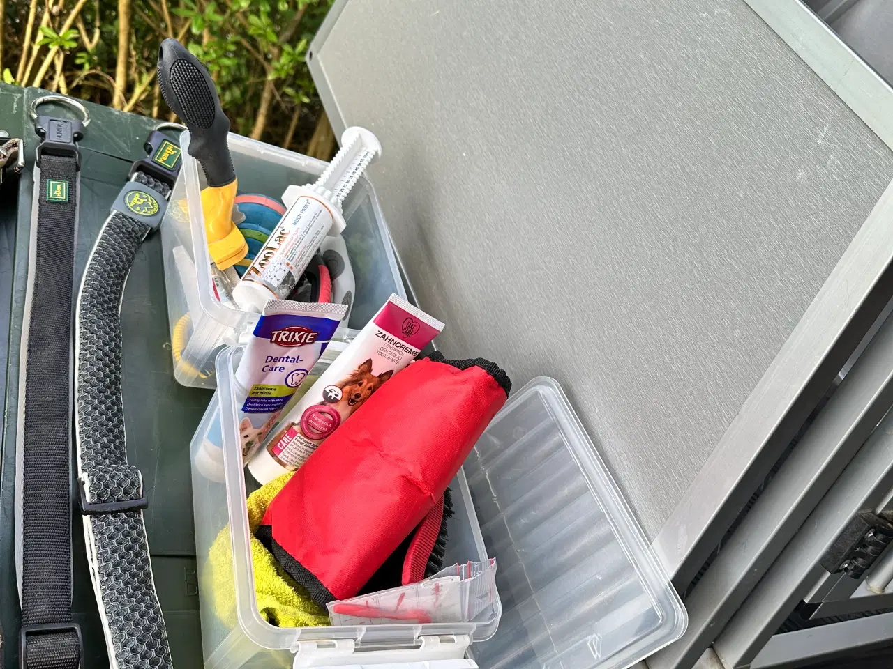 Billede 4 - Alt du skal bruge til en mellem store hund. 