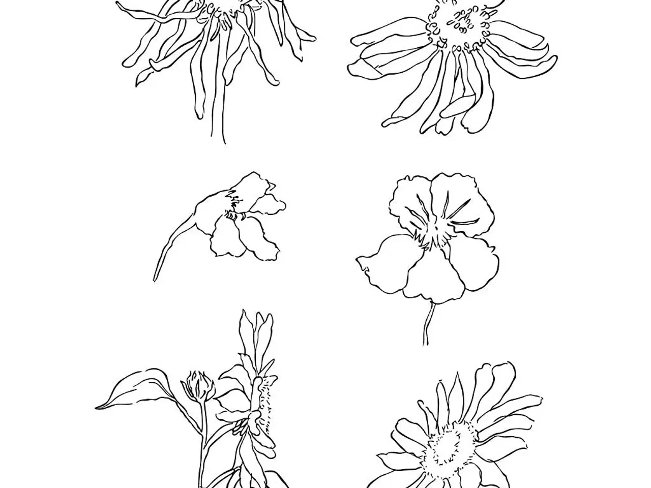 Billede 1 - Silikonestempler til Sommer - 11x15,5 cm Ark