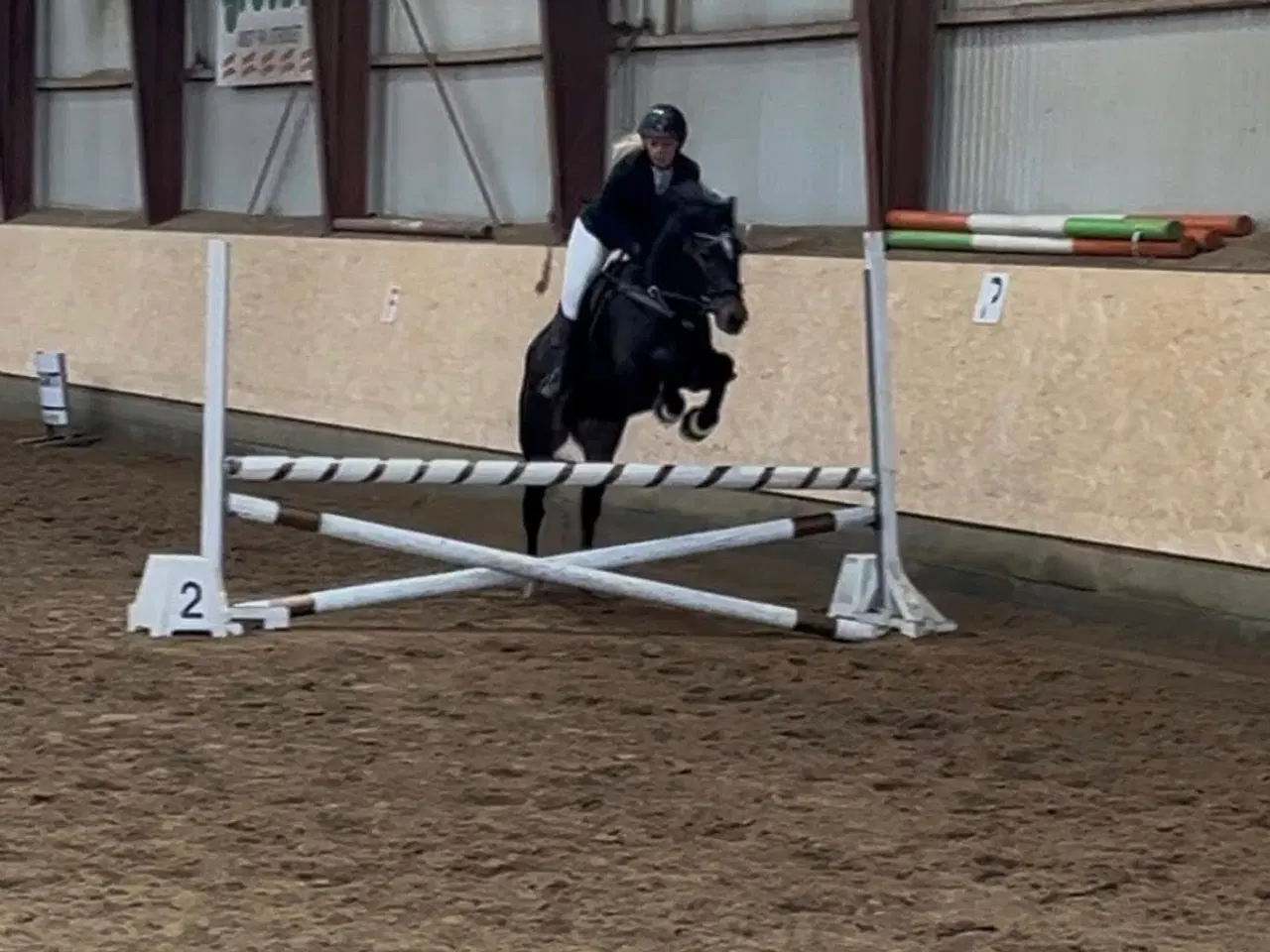 Billede 14 - Allround 2’er pony søger sin nye familie 