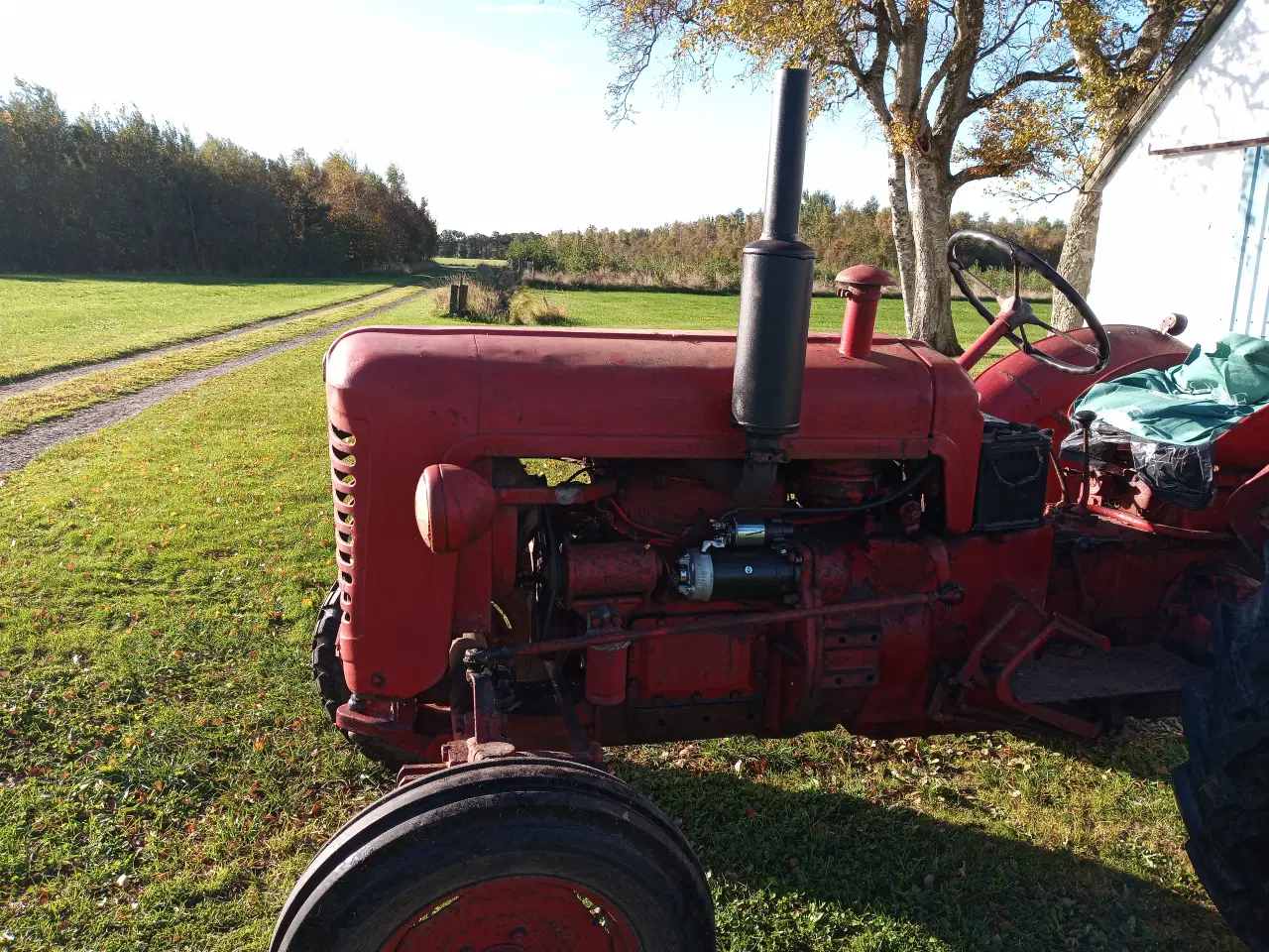 Billede 4 - Bukh 302 traktor