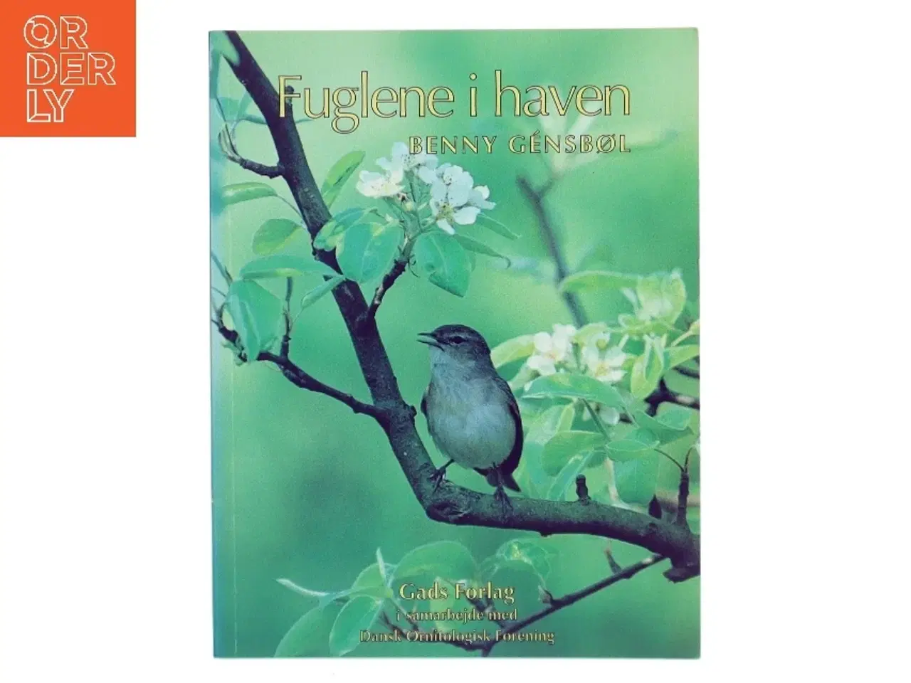 Billede 1 - Fuglene i haven af Benny Génsbøl (Bog)