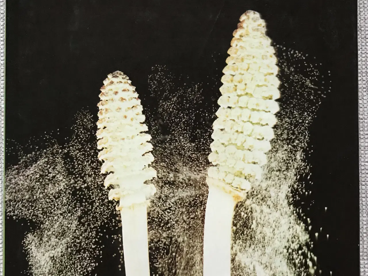 Billede 3 - 4 stk. Naturårsbøger