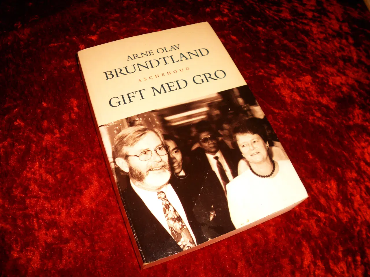 Billede 1 - Gift med Gro, Arne Olav Brundtland, 