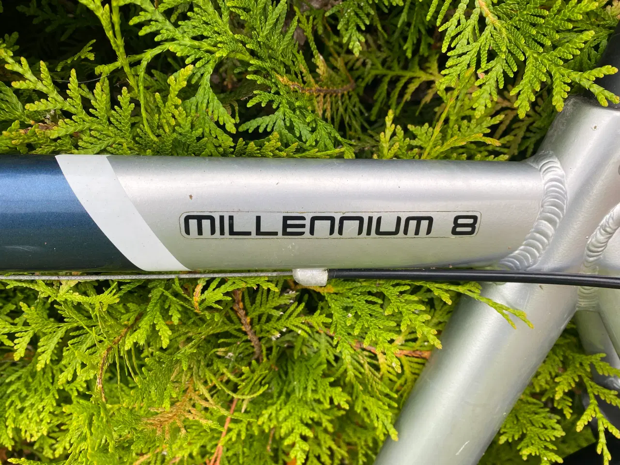 Billede 2 - Herre citybike