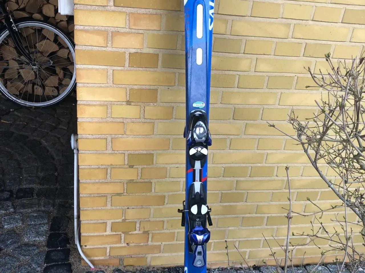 Billede 1 - Salomon Alpin Ski