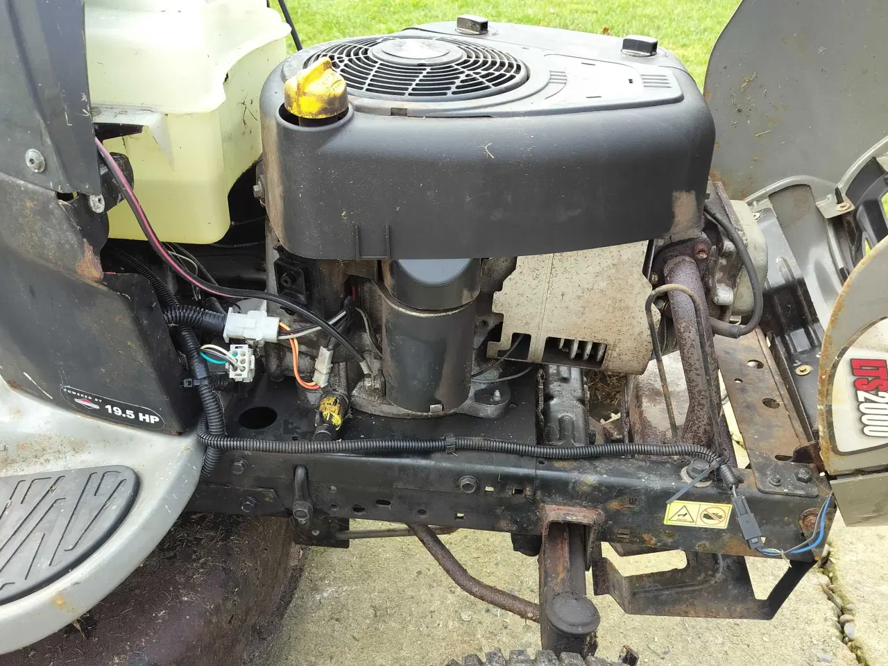 Billede 4 - Træner til en kærlig hånd 