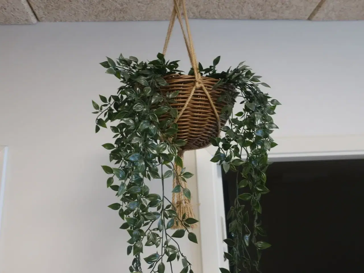 Billede 3 - Reol med indhold / hylder med indhold / plante m.m.
