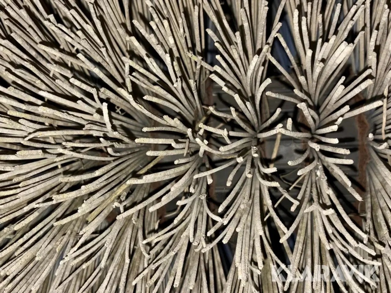 Billede 12 - Frontkost HAF 100 cm