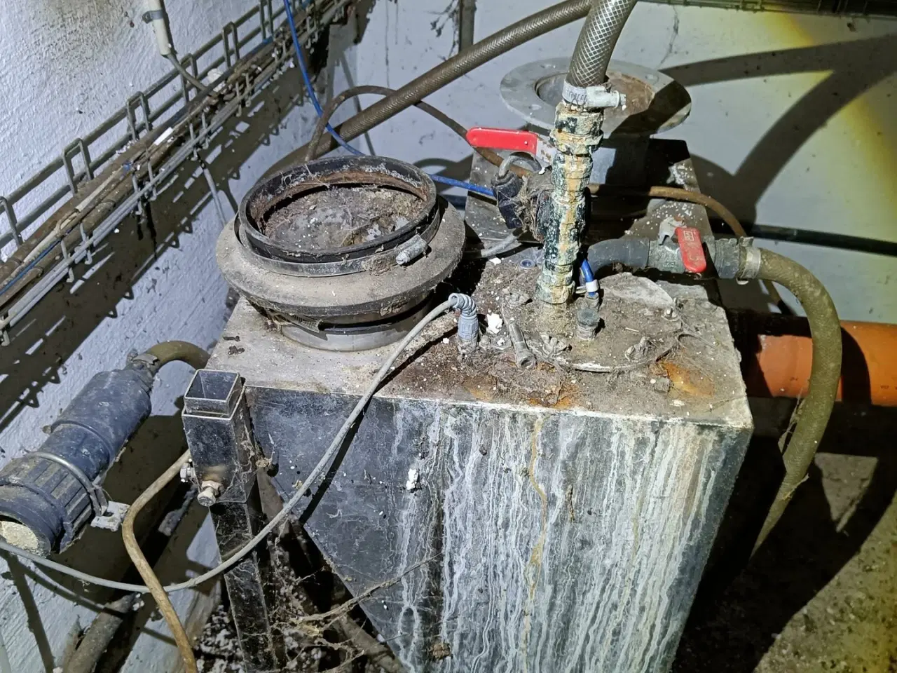 Billede 2 - - - - Lille opblander vand/majs